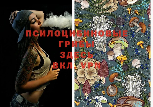 ECSTASY Армянск
