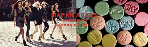 ECSTASY Пересвет