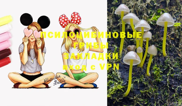 дживик Белоозёрский
